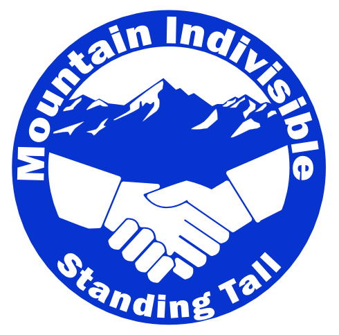 Spruce Pine MLK day of service